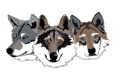 Club Cane Lupo Cecoslovacco