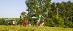 Copia di IMG_0910