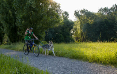 Copia di IMG_0937