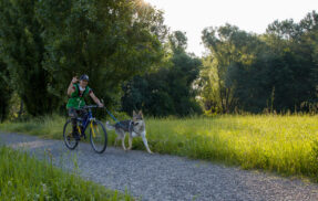 Copia di IMG_0937
