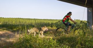 Copia di IMG_0966