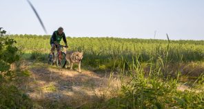 Copia di IMG_0969