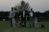 image00005