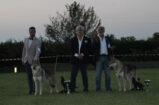 image00007
