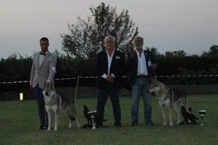 image00007