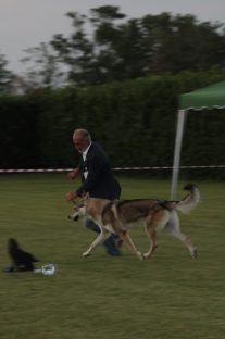 image00012