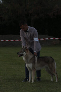 image00014