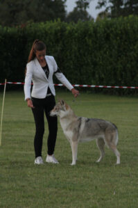 image00016