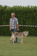 image00021