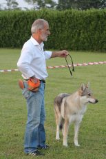 image00033