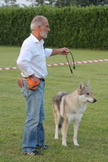 image00034