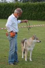 image00035