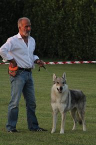 image00038