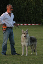 image00039