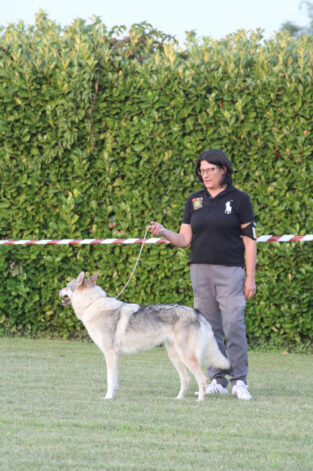 image00047