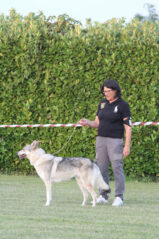 image00048