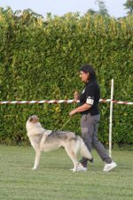image00049