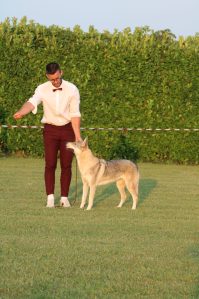 image00068