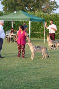 image00070