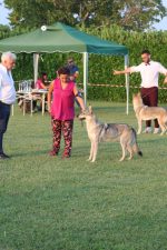 image00071