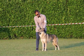 image00072