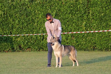 image00072