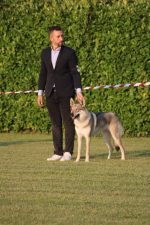 image00083