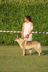 image00085