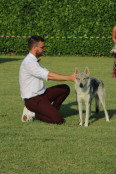 image00087