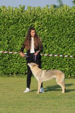 image00094