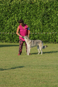 image00096
