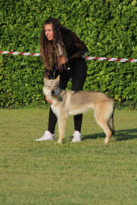 image00098