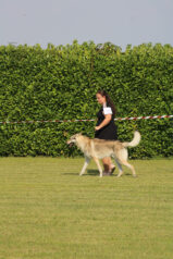 image00113