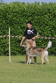 image00117