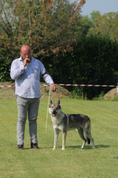 image00122
