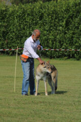 image00123