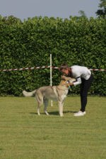 image00131