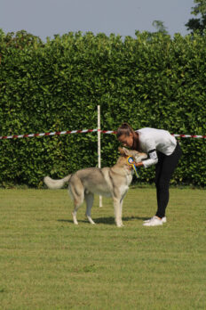 image00131