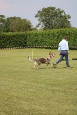 image00133