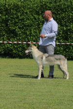 image00138