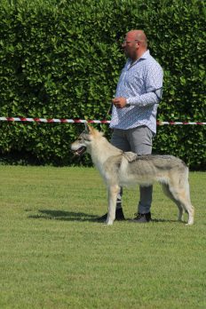 image00138