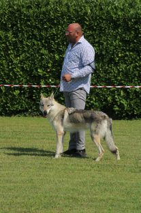image00142