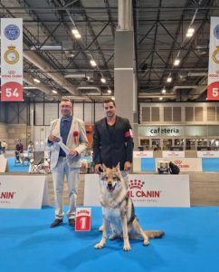 Campione del Mondo Veterano