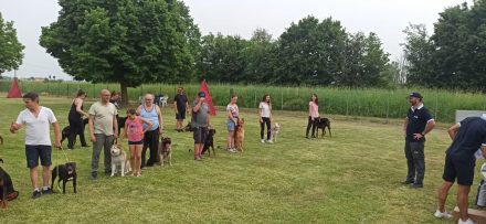 IMG_20220522_165506