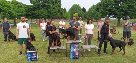 IMG_20220522_170919
