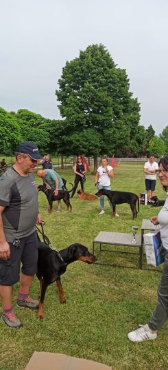 IMG_20220522_171626