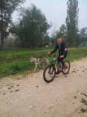 IMG-20221023-WA0017
